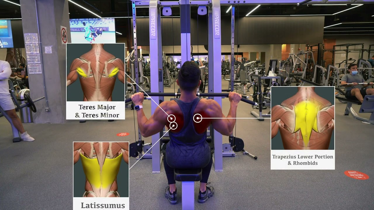 Lat Pull Downs
