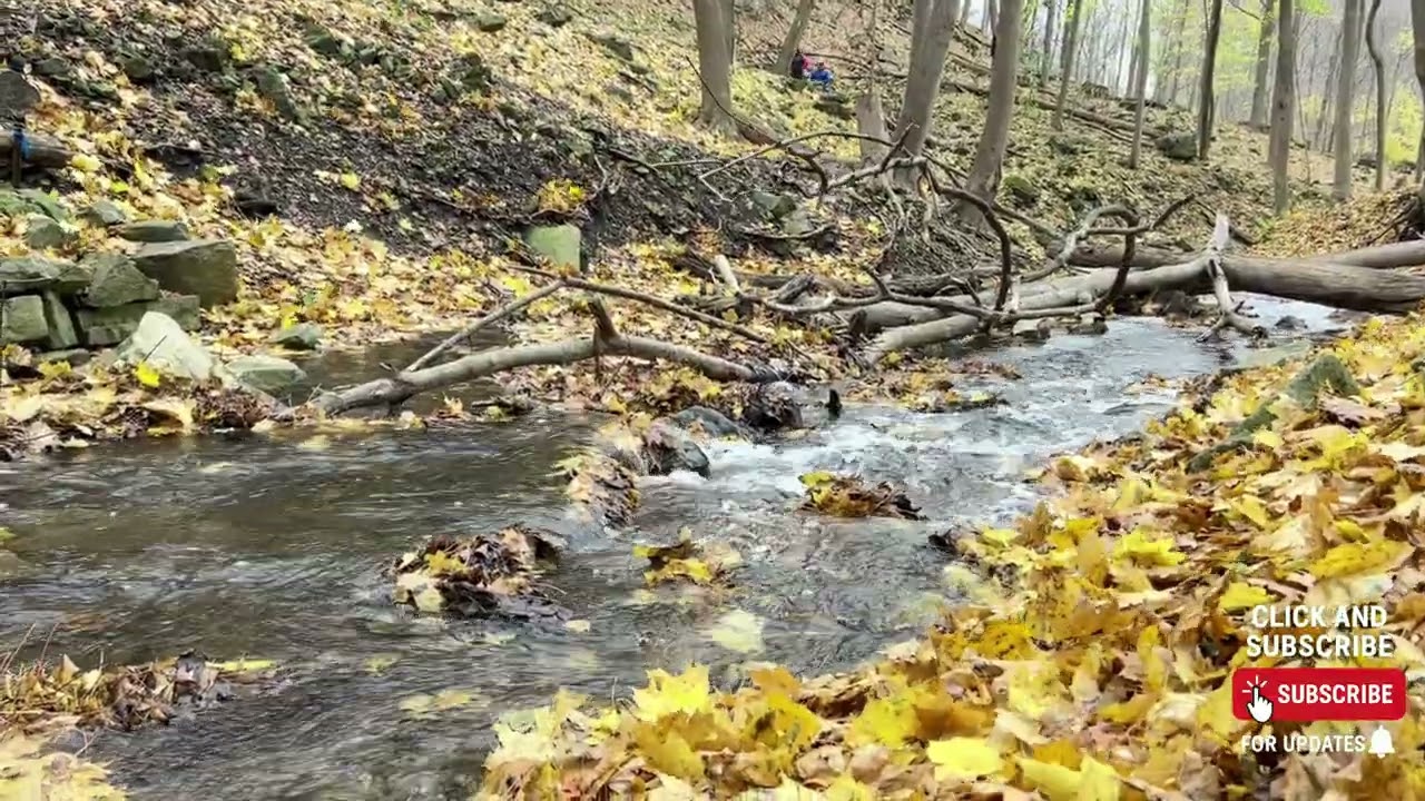 Fairuz - Autumn Canada | فيروز - خريف كندا