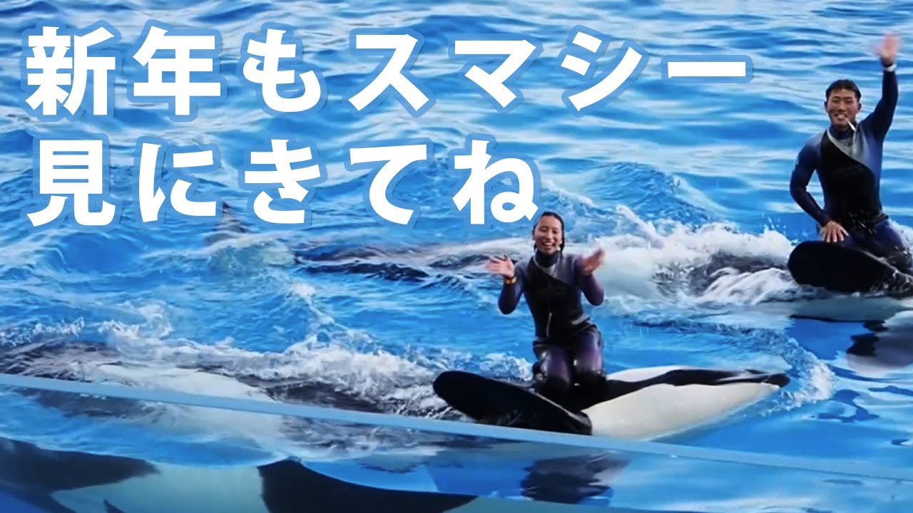 シャチショーで過ごす元旦2026