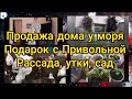 Объявление о продаже благоустроенного дома у моря, п. Шиловка. Рассада, утки, свинка, обрезка сада.