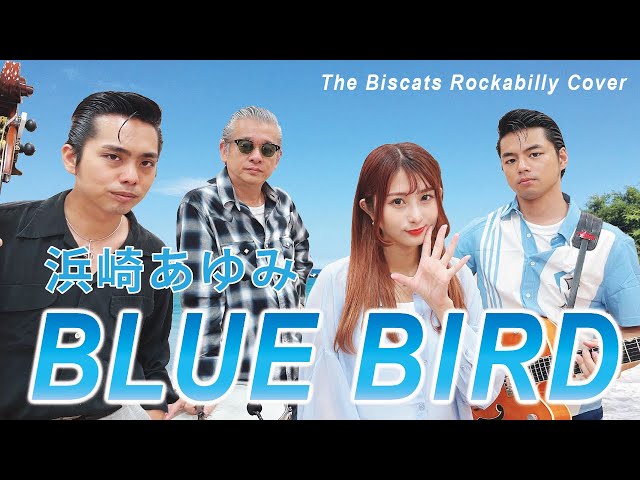 The Biscats が｢BLUE BIRD／浜崎あゆみ｣をやってみた！ - YouTube