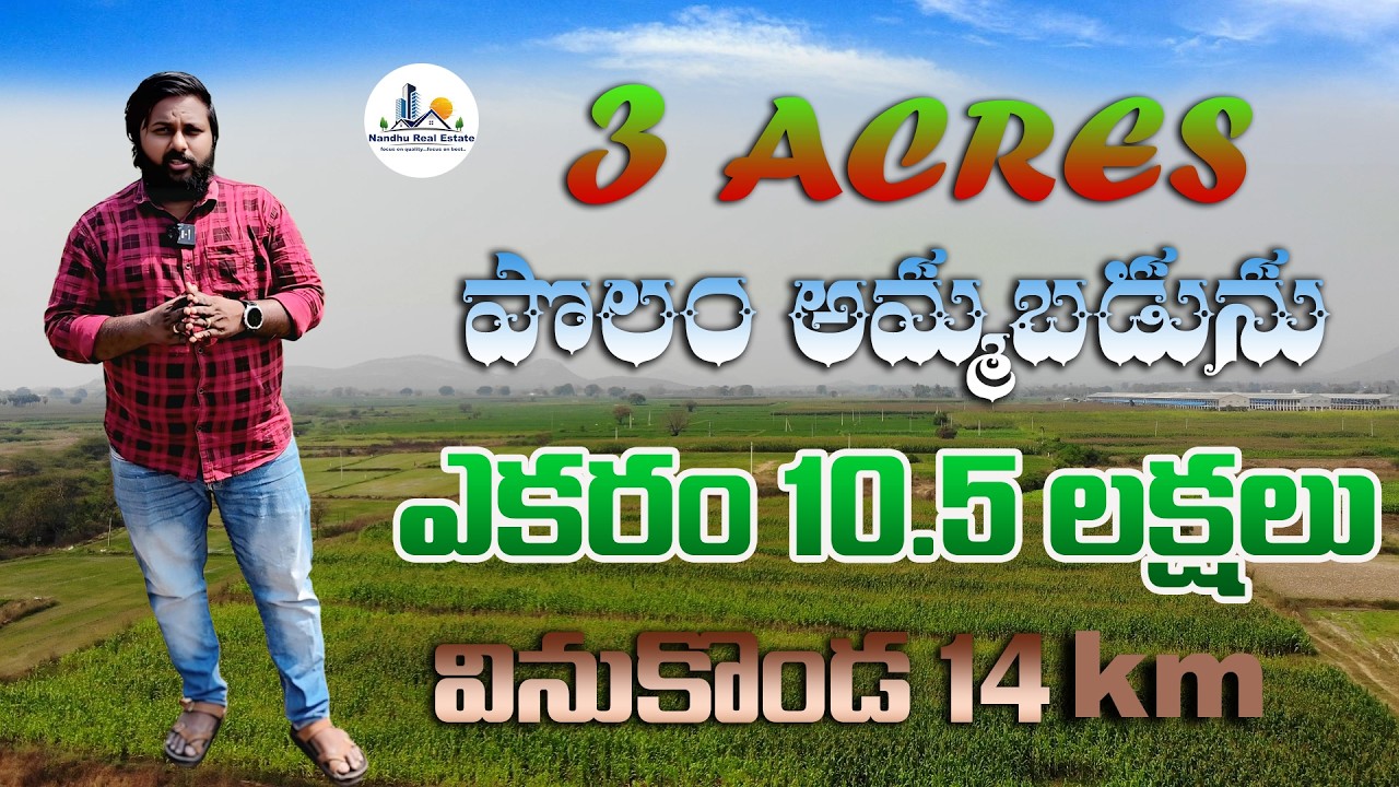3 ACRES LAND SALE VINUKONDA 16 KM PALNADU DST FOR ACRE 10.5 LAKHS@NandhuRealaEstate