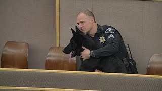 Pierce County K-9 Unit welcomes new police dog