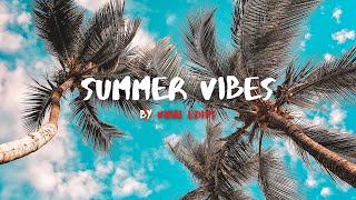 Summer Vibes Cinematic Stock Footage No Copyright Music
