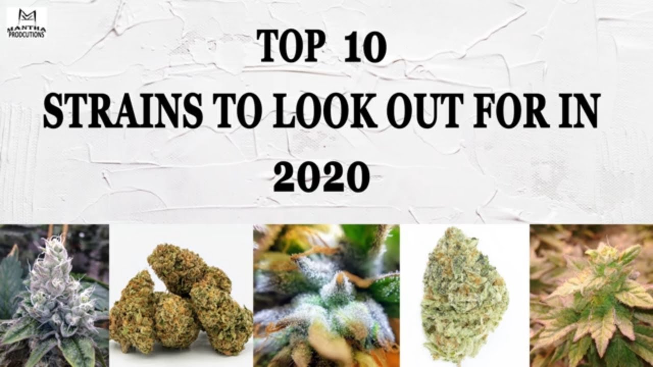 Top 10 Strains to Look Out for in 2020