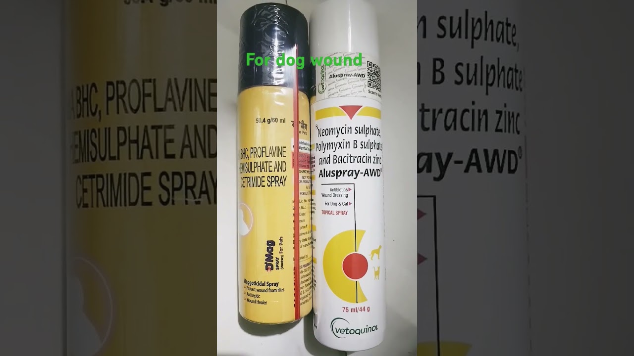 dog wound treatment medicine review