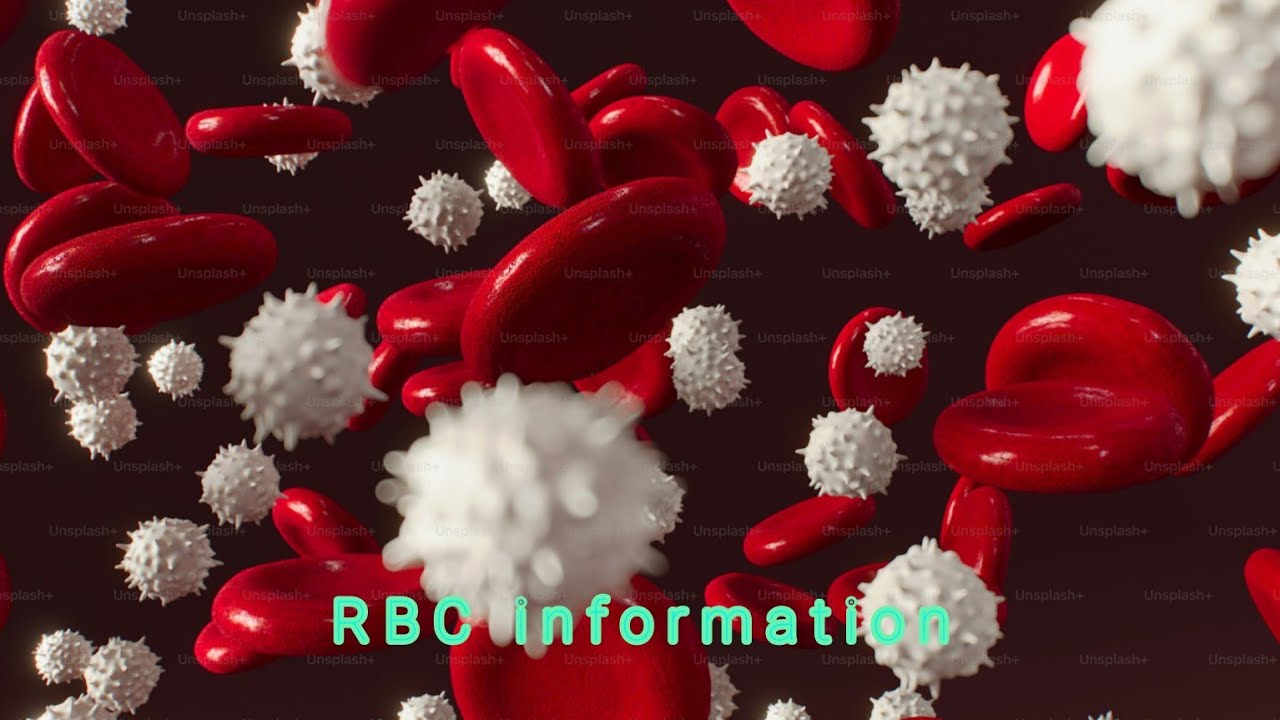 Internal Rbc Near End Of Life Blood cells ll About RBC ll What is RBC ll Shapes Of RBC ll Size of RBC