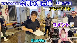 A slow day again] This morning's fish market: Catch report for