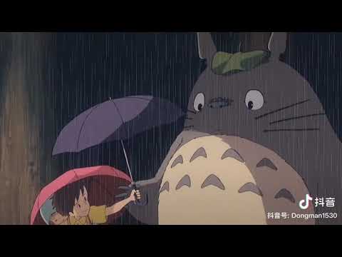 《○》Con gì cute vậy😃 {My Neighbor Totoro - Hàng xóm tôi là Totoro}