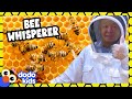 This Bee Rescuer Knows How To Talk To Bees! | Dodo Kids | For The Love Of The Wild