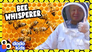 This Bee Rescuer Knows How To Talk To Bees Dodo Kids For The Love Of The Wild