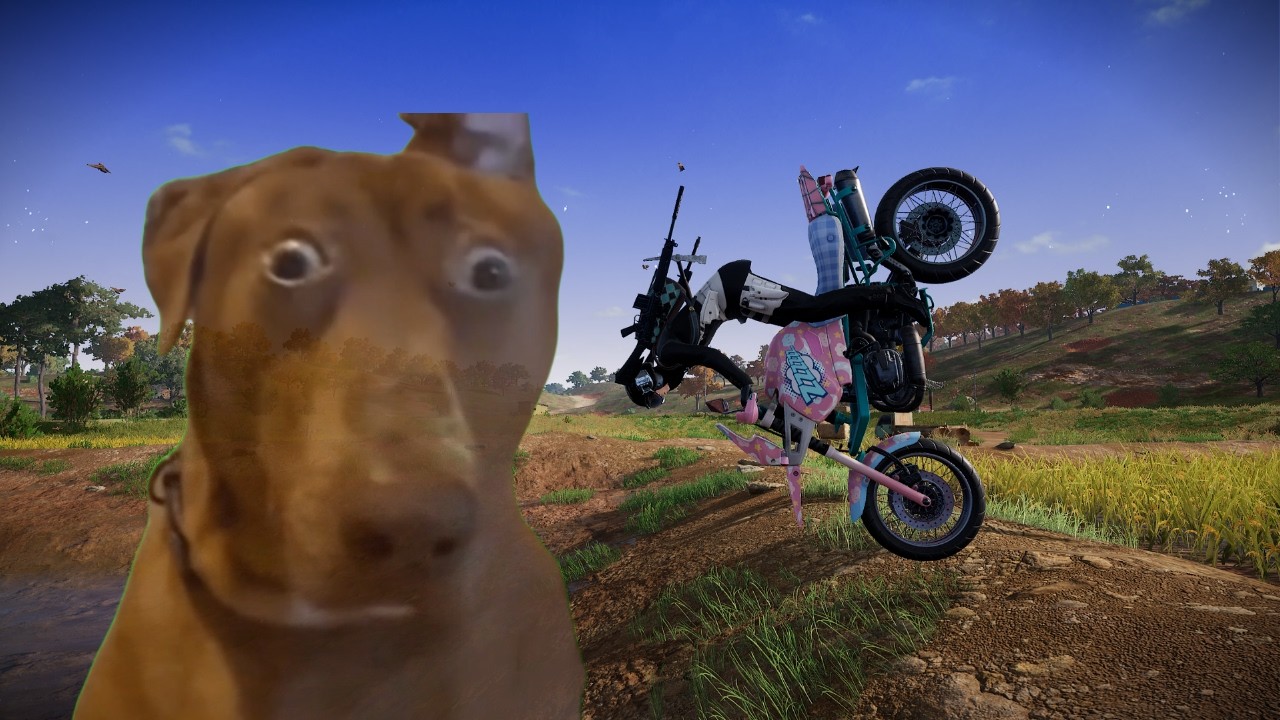 [배그]올해 다윈상 후보 1번