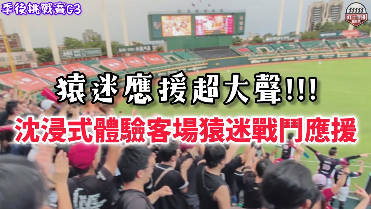 客場黑衫猿迷應援聲響徹澄清湖畔 沉浸式體驗10號隊友及籃籃、筠熹全力吶喊應援聲 季後挑戰賽G3樂天五分大局應援合集 #rakutengirls #流量密碼 