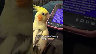 I Hate When This Happens