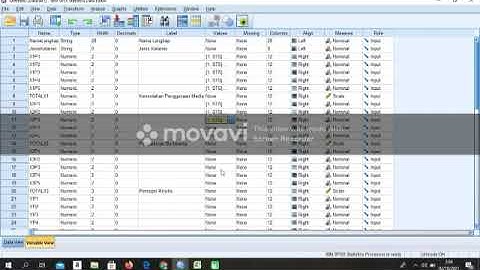 Tugas Besar1_Statistik Bisnis_Menginput Tabulasi Data Primer Dan Sekunder Dari MS.Excel Kedalam SPSS