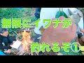 南東北で1泊2日のフライフィッシング【1日目】