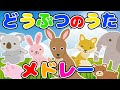 【20分連続】子どもに大人気!どうぶつソングメドレー2♫(covered by うたスタ)Japanese Children's Song, Nursery Rhymes