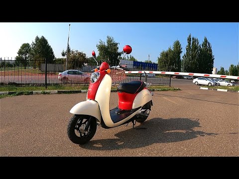 Honda crea scoopy тюнинг