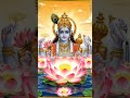 #guruvaar #vishnu #narayan #shreemannarayannarayanharihari