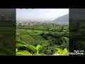 ايوب طارش بكر غبش
