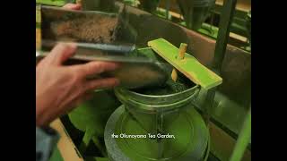 Horii Shichimeien for rocky's matcha 2025