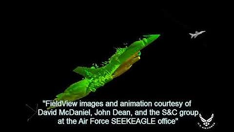 Vorticity Animation with FieldView