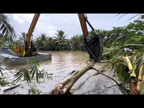 Video Xe cuốc cần dài 16 mét kẹp cây sung múc đất lên - youtube