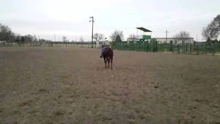 VID 20101229 151603