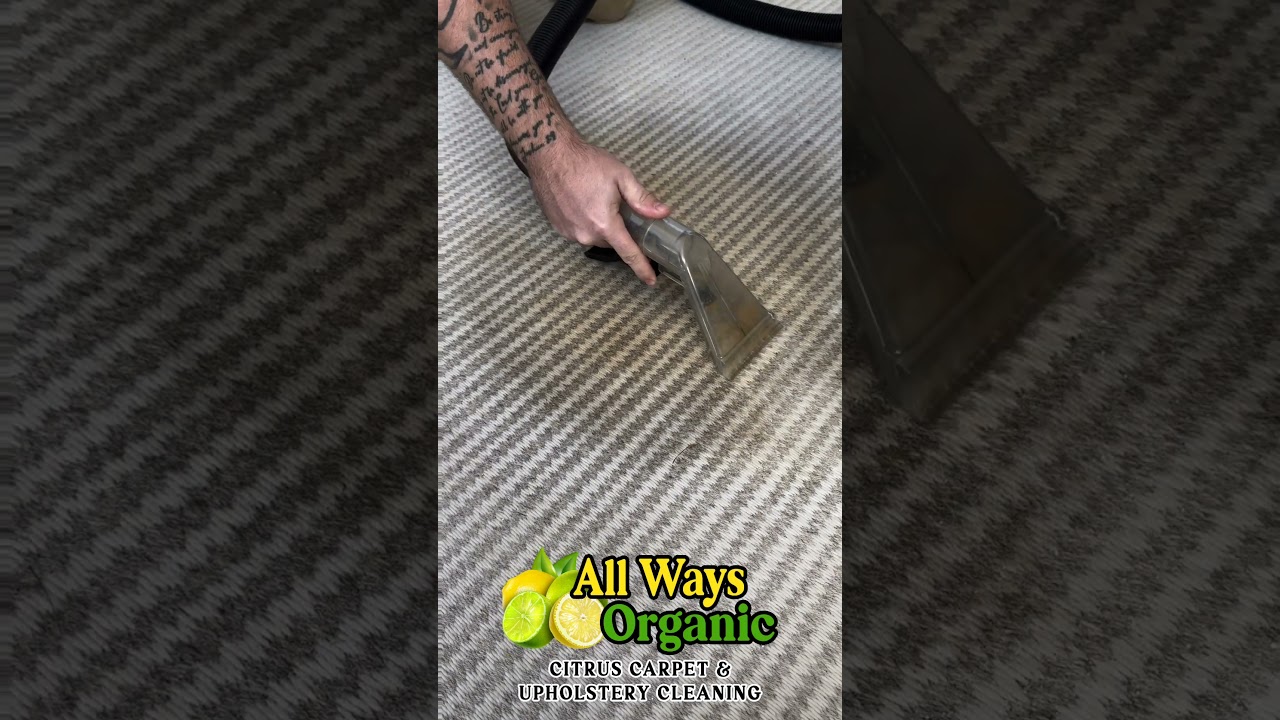 Coffee Stain Removal From A White Wool Rug - All Ways Organic Citrus Carpet & Upholstery Cleaning