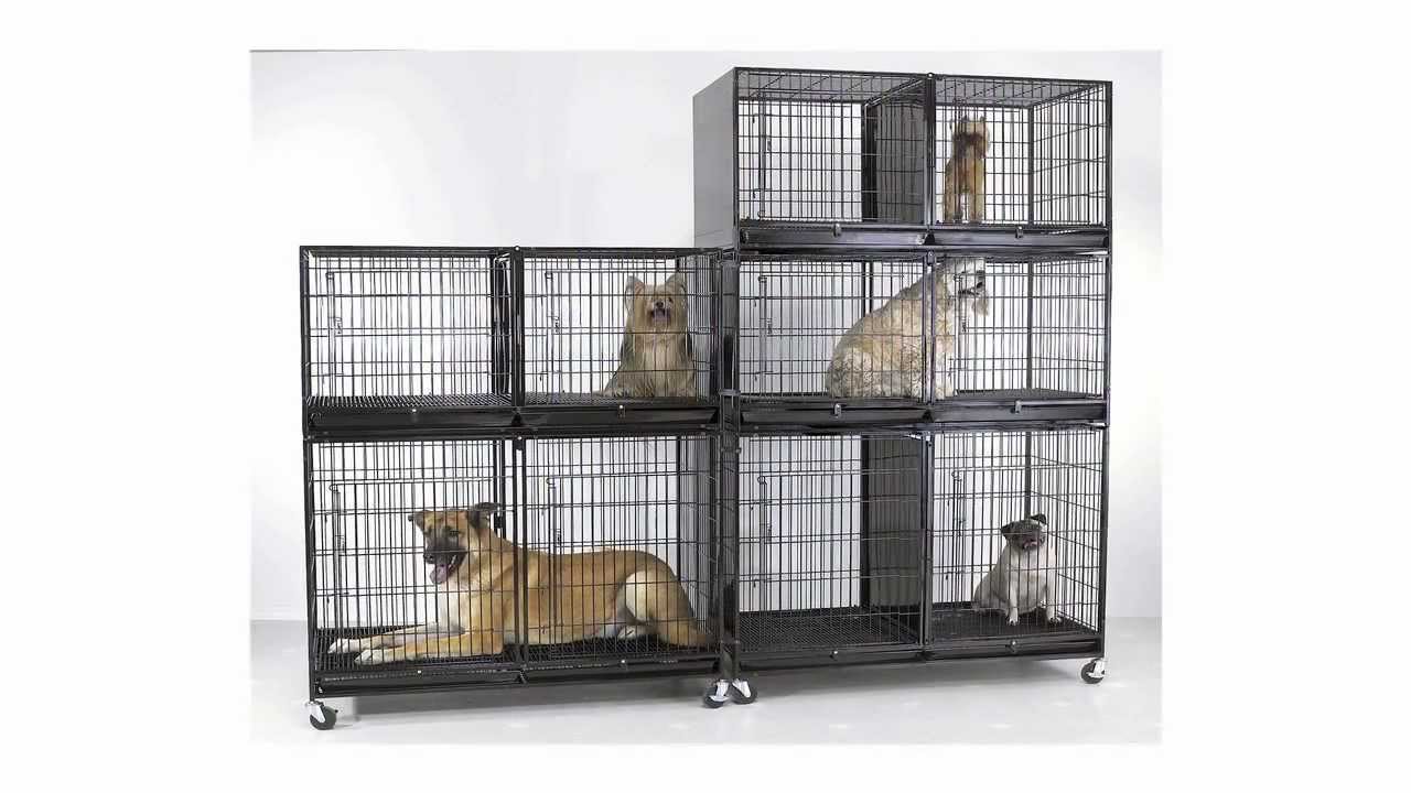 proselect modular cage bank