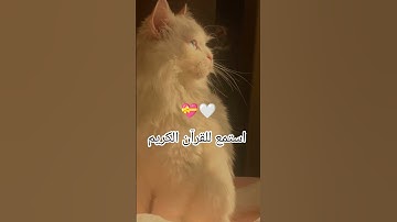 اكتب شيء تؤجر عليه يوم القيامة 😴🤍 #آيات_الرحمة #اللهم_صل_على_محمد_وال_محمد #المصحف #اكسبلور