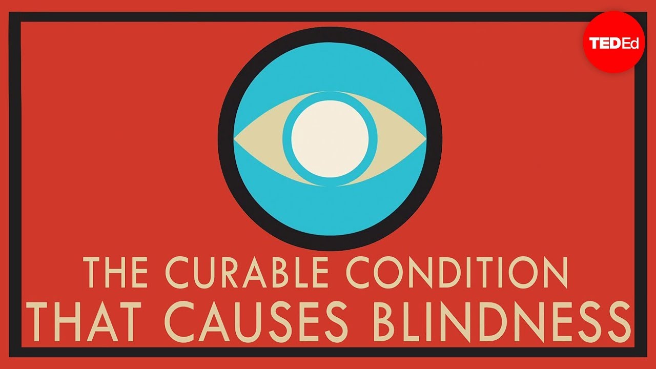 A Curable Condition That Causes Blindness - Andrew Bastawrous