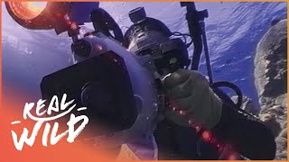 Learning To Fish Off The Australian Northern Coast