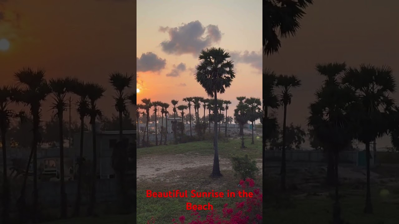 Beautiful Sunrise in the Beach