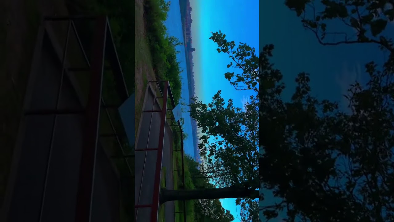 A Glimpse Under the Bridge: Nature, City and Inspiring Words