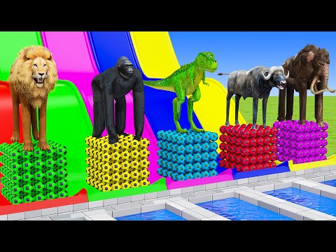 Long Slide Game With Elephant Gorilla Buffalo Hippopotamus Tiger 3d Animal Game Funny 3d Animals