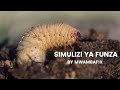 SIMULIZI MPYA YA FUNZA 19 I SIMULIZI YA KUSISIMUA I Mwambafix 
