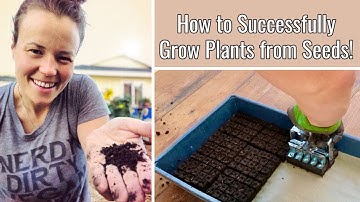 Grow your Garden from Seed using Soil Blocks! (+free guide booklet!)