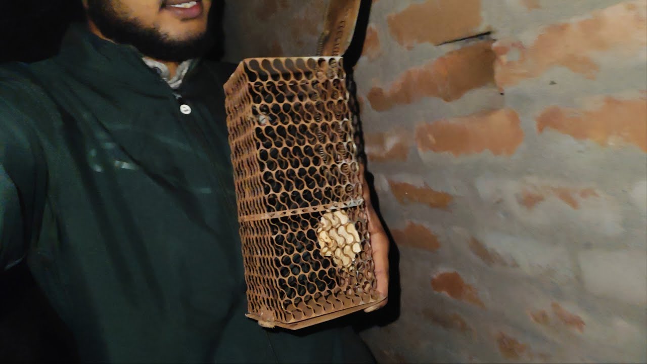 Chuha Pareshan Krke Rkha he 😡🤕 | Daily Vloging | VlogBaaz