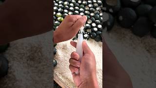 Why Rice is Stuffed Inside Green Oranges #shortsvideo
