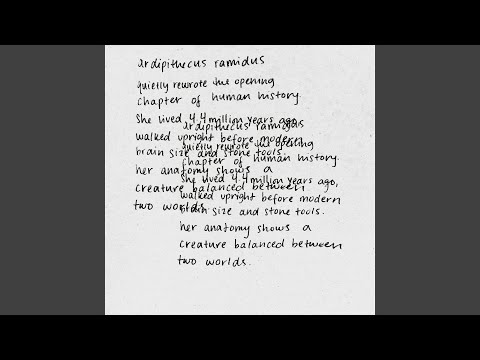 Putar Organization & Classification - Willow