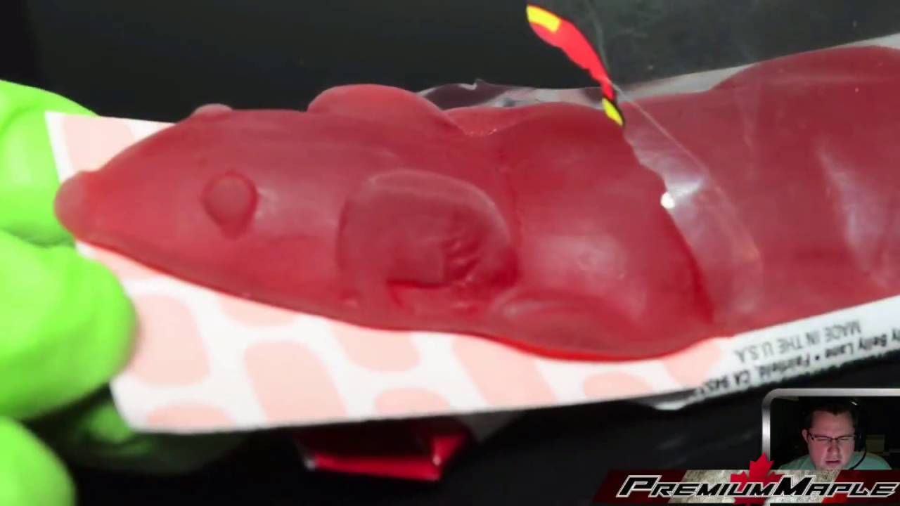 Jelly Belly Pet Rat Gummy Candy