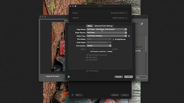 Epson Professional Printer Tips I Roll Borderless Printing