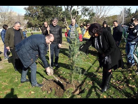 სამგორის რაიონში გამწვანების აქცია გაიმართა
