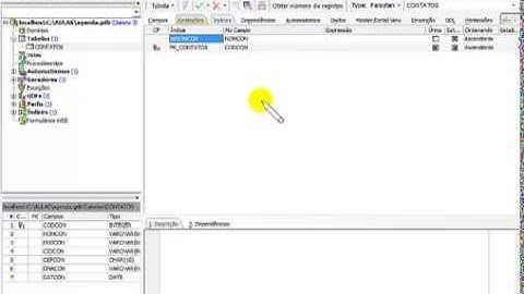 Aula1 - Delphi básico