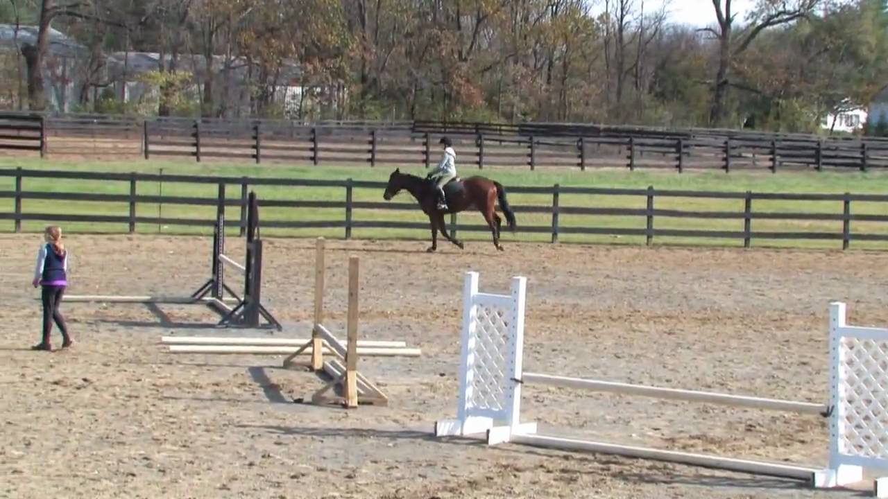 Kelsey Jumping Indie at Baymar Farms 11/07/09 YouTube