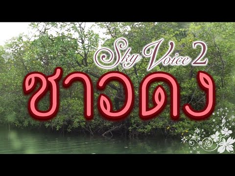 ชาวดง - SKY VOICE [ Official Audio ]