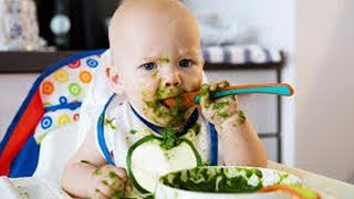 Funny Baby Reacts First Time Eating Solid Food|| Funny Baby and Pet