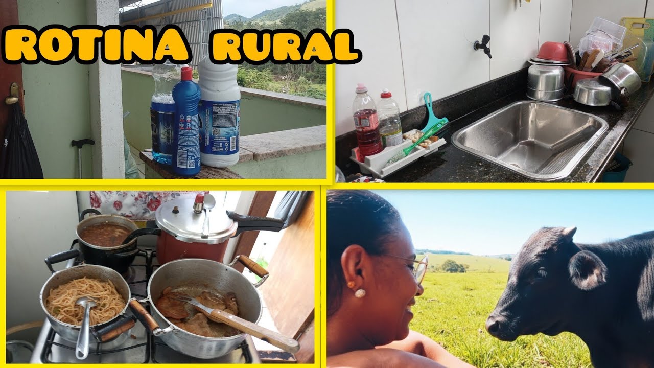 Rotina Rural: Comecei na faxina e terminei o dia com uma surpresa nos bichos!✨🏠🐓🐄