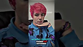 Mr Beast Members Now VS The Only Sigma Left      #sigma #mrbeast #chandlerhallow #christyson #clips